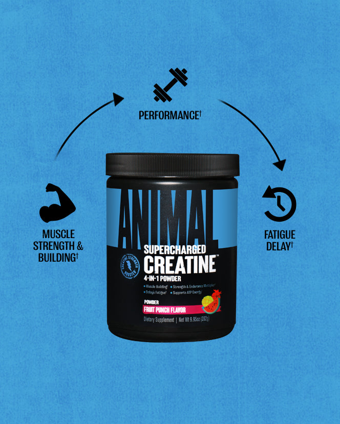 Animal Creatine - Performance Chews 120 tablets